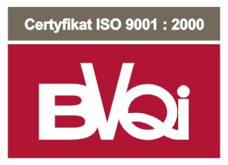 www.BVQI logo iso